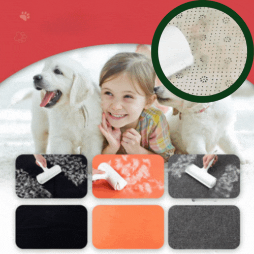 PET HAIR ROLLER REMOVER